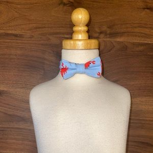 Lolly Wolly Doodle Adjustment Boy Bow Tie